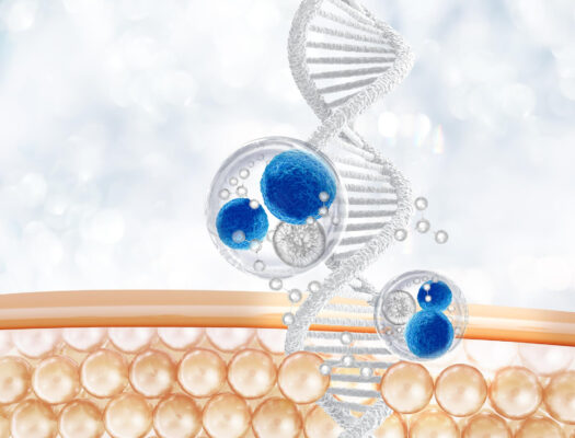 สเต็มเซลล์กับการฟื้นฟู